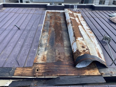 S__6045740_コピー