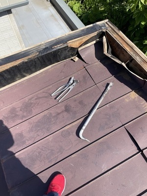 IMG_9487_コピー_コピー