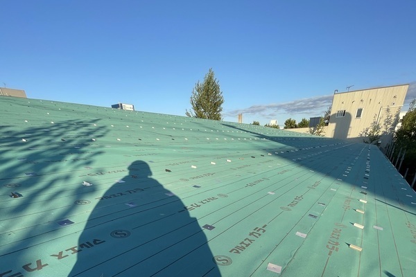 IMG_1282_コピー_コピー