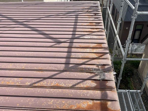 IMG_1675_コピー_コピー