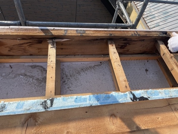 IMG_1690_コピー_コピー