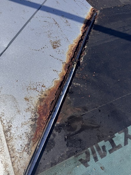 IMG_2978_コピー_コピー