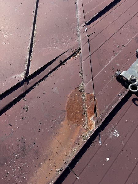 IMG_2976_コピー_コピー